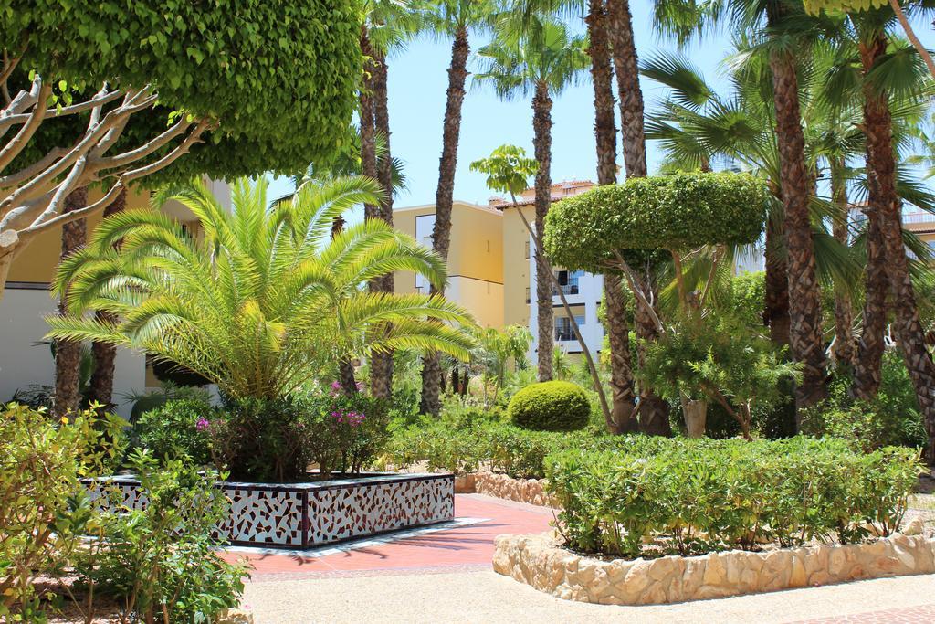 Aldea Del Mar Διαμέρισμα Τορεβιέχα Εξωτερικό φωτογραφία